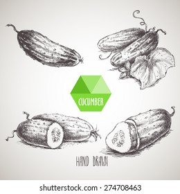 Set of hand drawn cucumbers. Vintage sketch style illustration. Organic eco food