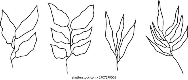 Set hand drawn curly grass and flowers on white isolated background. Botanical illustration. Decorative floral picture. Set leaves floral hand drawn. Sketches of flowers, plants, leaves. Hand drawn