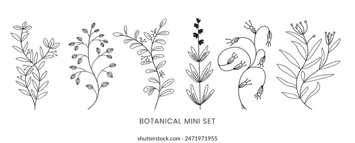 Set hand drawn curly grass and flowers on white isolated background. Botanical illustration,Decorative floral picture.