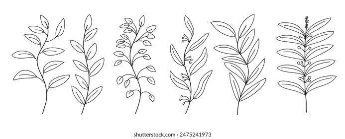 Set hand drawn curly grass and flowers on white isolated background. Botanical  vector illustration