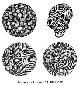 Set of hand drawn curly wavy doodle design elements for poster, banner, flyer, brochure. Vector image