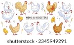 Set of hand drawn cute cartoon hens and roosters isolated on white background. Sketch doodle chicken collection. Farm bird. Poultry. Vector illustration