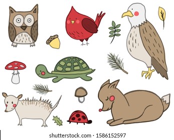 A set of hand drawn cute forest animals. Deer, american eagle, owl, red cardinal bird, mushroom, acorn, opossum. Vector collection perfect for childish decoration clothes, patterns,stickers, cards