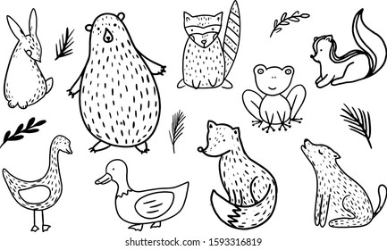 A set of hand drawn cute forest animals. Bear, racoon, skunk, frog, fox, wolf, duck, goose. Vector collection perfect for childish decoration clothes, patterns,stickers, cards