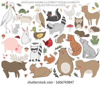 A set of hand drawn cute forest animals. Deer, american eagle, owl, red cardinal bird, mushroom, acorn, opossum,bear. Vector collection perfect for childish decoration clothes,patterns,stickers, cards