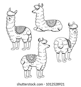 Set of hand drawn cute lama. Vector illustration.