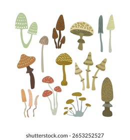 Set com mão desenhado cogumelos bonitos no fundo branco. Ilustração de queda de vetor.