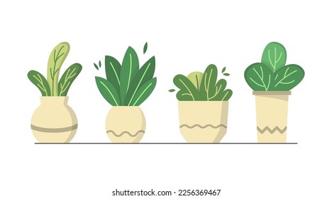 Set of hand drawn cute potted plant, indoor plant, home decoration plant illustration