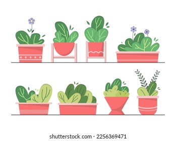Set of hand drawn cute potted plant, indoor plant, home decoration plant illustration