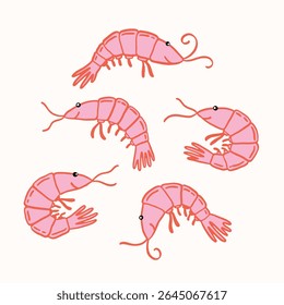 Set of hand drawn cute shrimps. Vector illustration on isolated background. Cute stylized illustration with decorative elements.