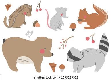 A set of hand drawn cute woodland animals. Racoon, bear, mouse, chipmunk, squirrel . Vector collection perfect for childish decoration clothes, patterns, stickers, cards