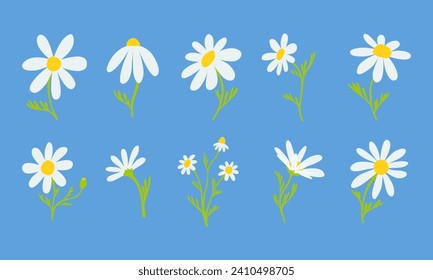 Set of hand drawn daisies. Different sizes and types of chamomile. Vector isolated on blue background illustration