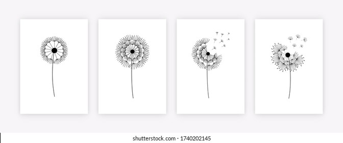 Set of hand drawn dandelion flowers. Abstract floral summer posters, wall art isolated on white background, minimalistic banners. Creative vector illustration