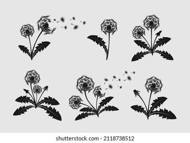 Set of hand drawn dandelion flowers
