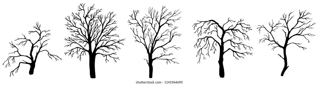 Set Hand Drawn Dead Tree Halloween Stock Vector (Royalty Free ...