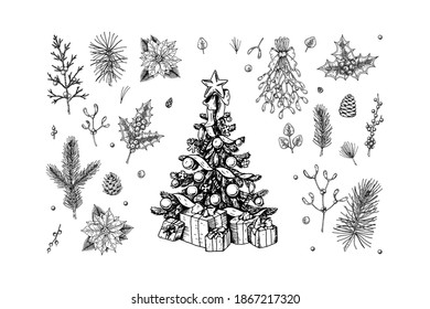 Set of hand drawn decorated Christmas tree, plant branches, cones and berries isolated on white background. Christmas decoration elements. Vector illustration.