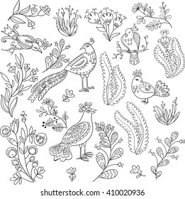 Set of hand drawn decorative birds and plants. 