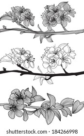 set of hand drawn decorative cherry blossoms, design elements