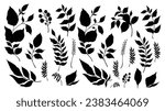 Set of hand drawn decorative elements. Vector illustration