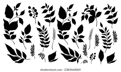 Set of hand drawn decorative elements. Vector illustration