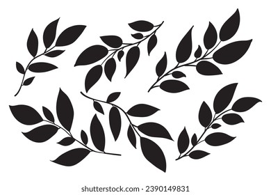 Set of hand drawn decorative elements. Vector illustration