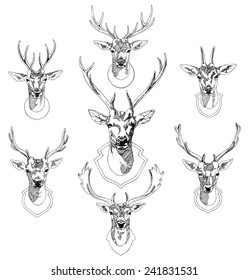 Set of hand drawn deer heads trophies. 