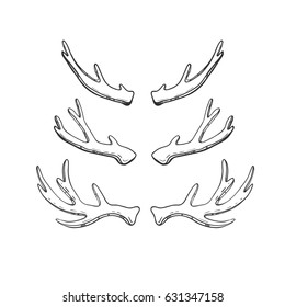 Set of hand drawn deer and moose horns isolated on white. Vector natural sketch.
