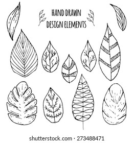 Set of hand drawn design elements. Vector illustration