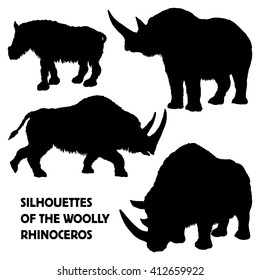 Set of hand drawn detailed silhouettes of woolly rhinoceroses. High quality anatomic and realistic image. Coelodonta antiquitatis. Black and white picture.