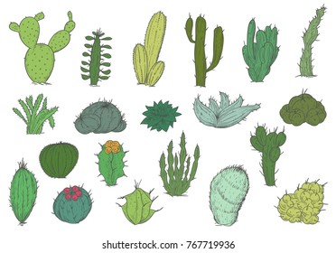 Set of hand drawn different cactuses in sketch vintage style. Vector illustration.