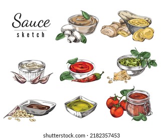 Conjunto de salsas dibujadas a mano diferentes en el estilo de bocazas, ilustración vectorial aislada en fondo blanco. Plantas orgánicas naturales que utilizan para cocinar salsas, diversas especias