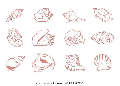 Set of hand drawn different sea shells. Simple sketch style design for greeting cards, invitations, poster, postcards