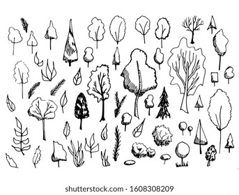 Set of hand drawn different trees, bushes made in cartoony dodle style. Black cute illustrations isolated on white background.