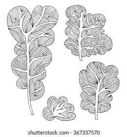 Set of hand drawn different trees