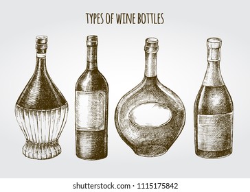 Conjunto de botellas de vino a mano. Ilustración de vectores dibujada a mano con tinta. elemento de diseño para una tienda de vinos.