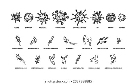 Set of hand drawn different types viruses of bactreias with names. Vector illustration in sketch style. Realistic scientific drawing