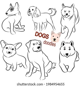 Set of hand drawn dog doodle. Collections poses in free hand drawing vector illustration style.