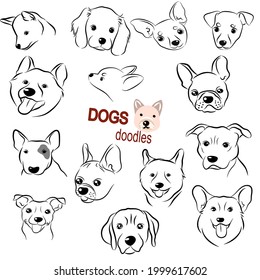 Set of hand drawn dogs doodles. Collections poses in free hand drawing vector illustration style.