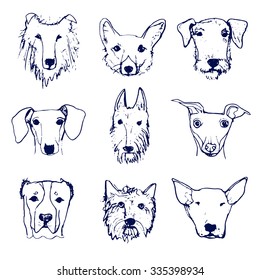 Set of Hand drawn Dog's Heads. Dog Breeds. Hand drawn Sketch made in Vector. Isolated. Pitbull , corgi , dachshund , Alabai , Collie , Eldertererer , Terrier