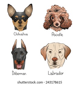 Set of hand drawn dogs, vector illustration