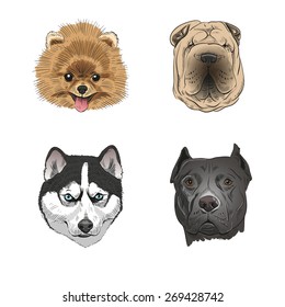 Set of hand drawn dogs, vector illustration