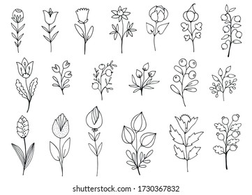 set of hand drawn doodle branches and flowers