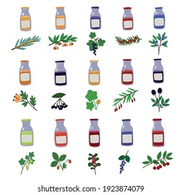 Mit handgezeichnet gezapften Zweigen von Beeren und Saft Flaschen.