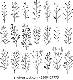 Set of hand drawn doodle branches. black floral design elements on white background. Collection of branches and twigs vector illustration.