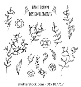 Set of hand drawn doodle design elements. Vector illustration with flowers, branch, laurel wreath and leaves.Floral elements for your design.