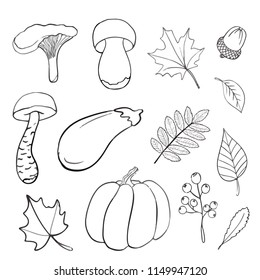 Set of hand drawn doodle elements about autumn. Cozy fall collection of drawings, outline vector drawing. Coloring book