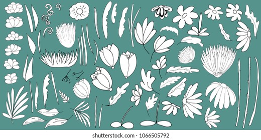 Set of hand drawn doodle floral elements: branches, flowers, leaves, grass for decoration, black and white isolated scetch, vector illustration
