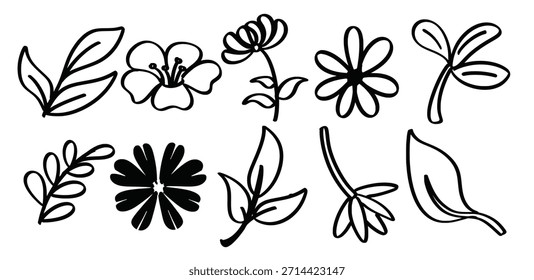 Set of hand drawn Doodle Flower theme Isolated Vector
