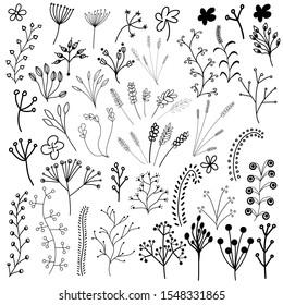 Set of hand drawn doodle flowers, leaves and branches. Vector stock illustration.
