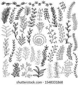 Set of hand drawn doodle flowers, leaves and branches. Vecror stock illustration.